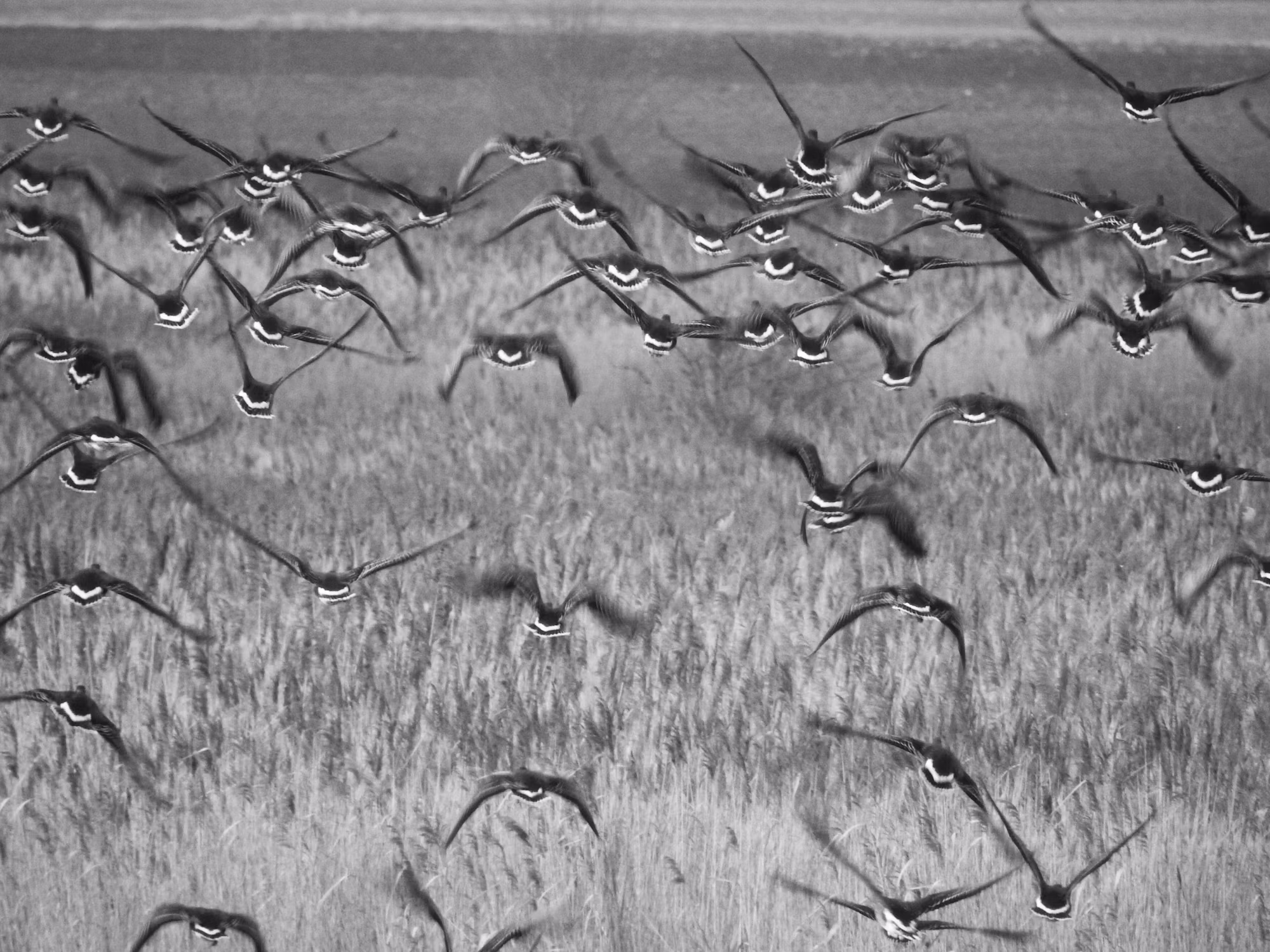 Embracing Change: The Key to Personal Growth and Resilience